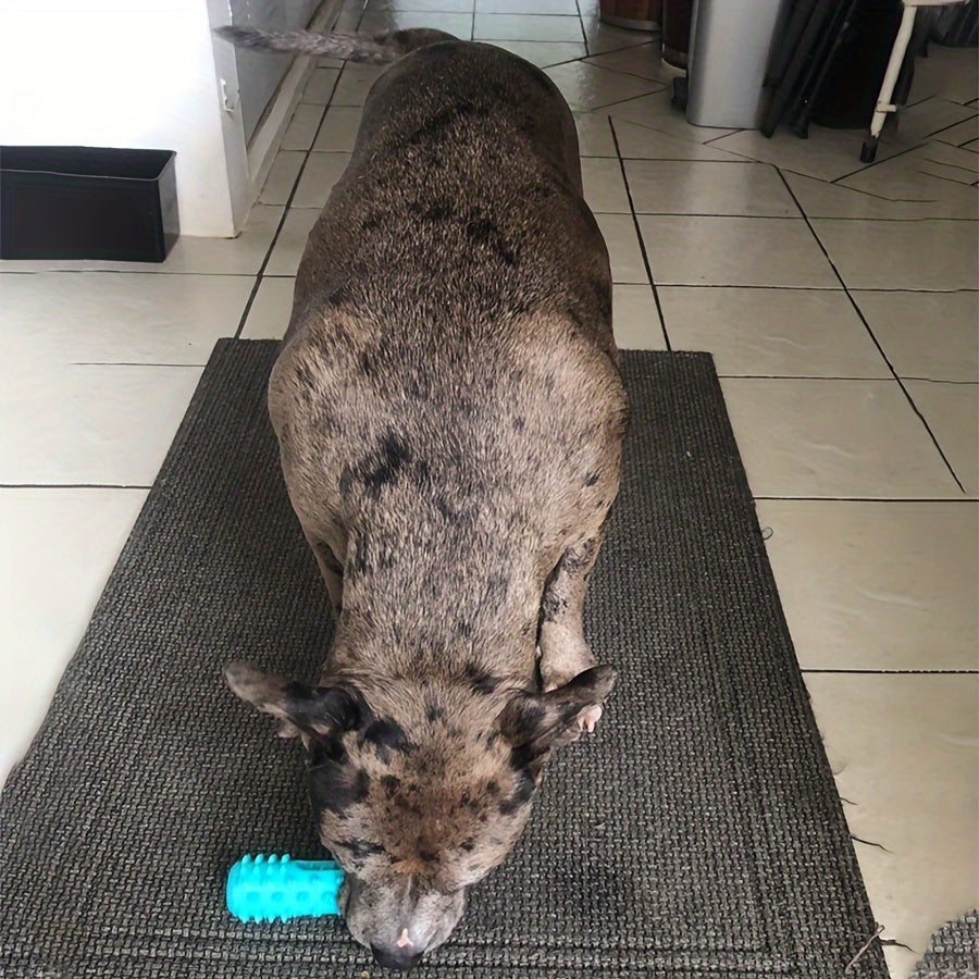 FurryJoy™ 🐾Playbrush